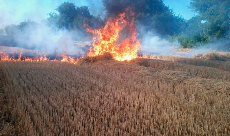 Правила пожарной безопасности во время уборки зерновых культур.